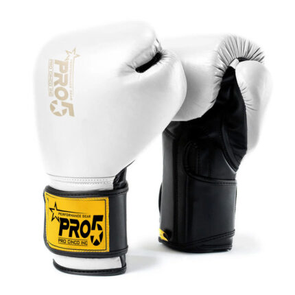 Pro5 Advance Boxing gloves