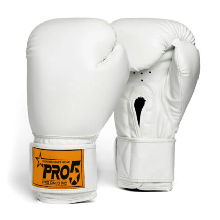 Classic boxing Gloves