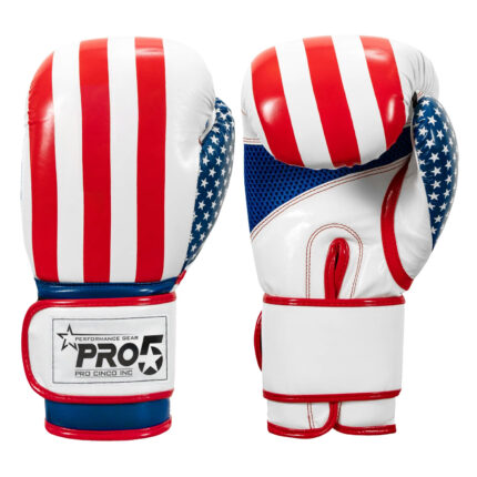 Pro5 Advance Boxing gloves